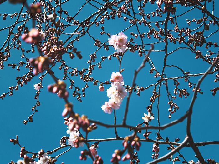 Leading through uncertainty logo